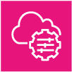 system manager